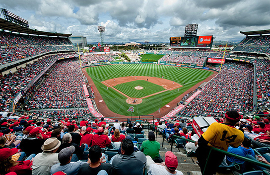 mlb stadium bag policy｜TikTok Search